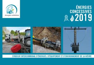 Rapport d'activité - Energies concessives 2019