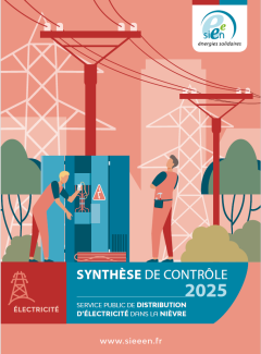 Couverture Synthese Elec 2025